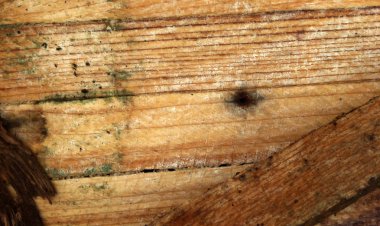 eski ahşap arka plan