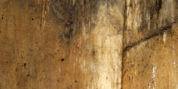 오래 된 나무 배경 — 스톡 사진