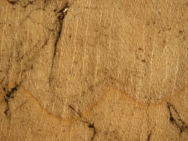 Textura de la vieja placa de madera de tierra — Foto de Stock