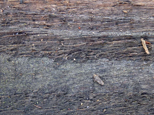 Texture de vieille plaque de bois de saleté — Photo