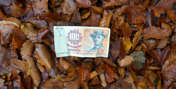 100 denmark krone — Stock Photo, Image