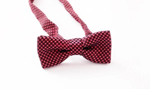 Fashion bow tie — Stock Photo, Image