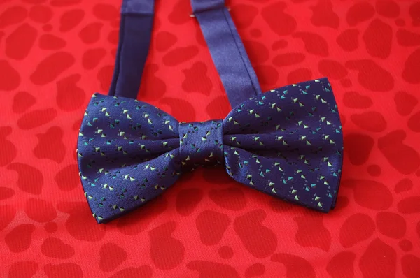 Fashion bow tie — Stock Photo, Image