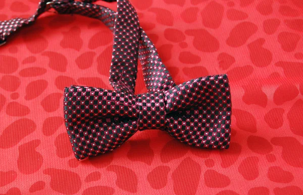 Fashion bow tie — Stock Photo, Image