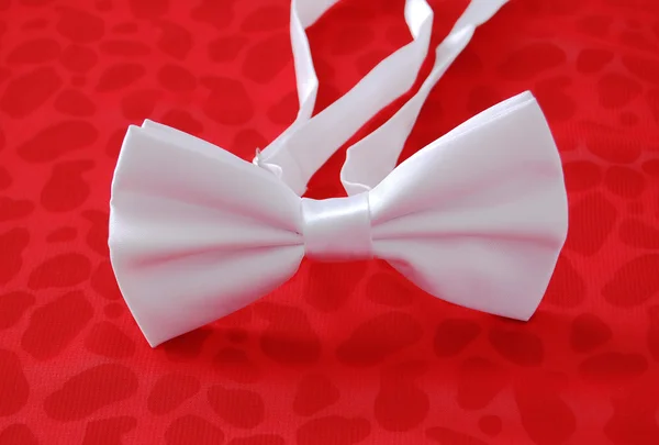 Fashion bow tie — Stock Photo, Image