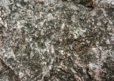 Ohri Gölü Makedonya