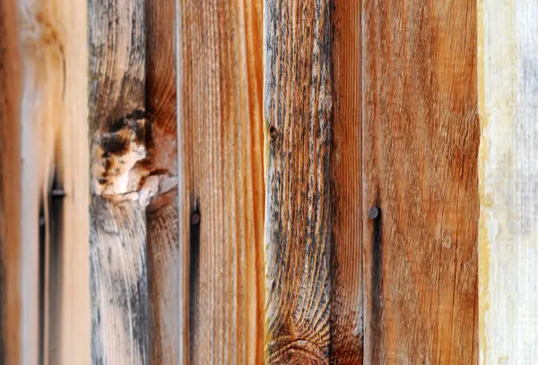 오래 된 나무 배경 — 스톡 사진