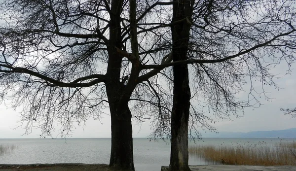 Lake Ohrid Macedonia — Stock Photo, Image