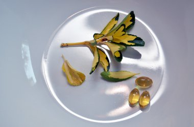 Omega 3 kapsülleri