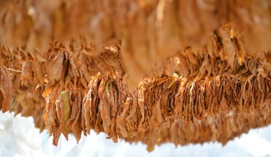 Geleneksel Makedon ve Balkanlar gıda