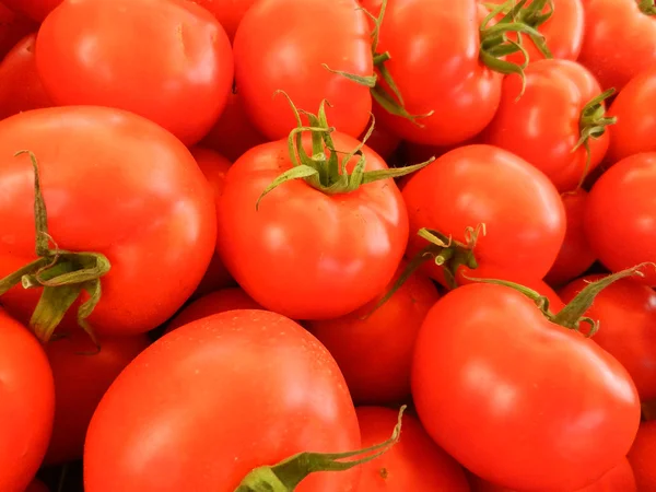 빨간 토마토 배경. 토마토 그룹 — 스톡 사진