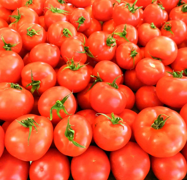 빨간 토마토 배경. 토마토 그룹 — 스톡 사진