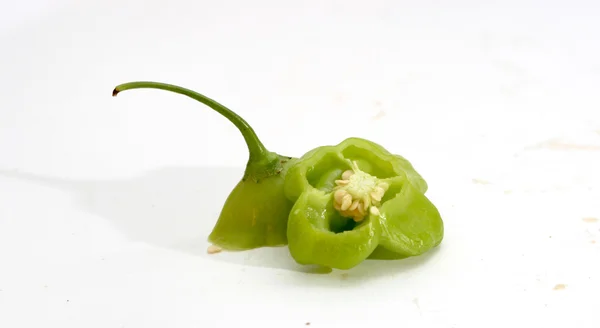 Paprika (peper) — Stockfoto