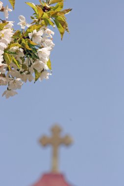 çapraz karşı çiçek