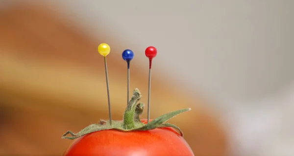 다채로운 둥근 압정 — 스톡 사진