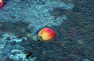 donmuş suyun içinde sıkışıp elma