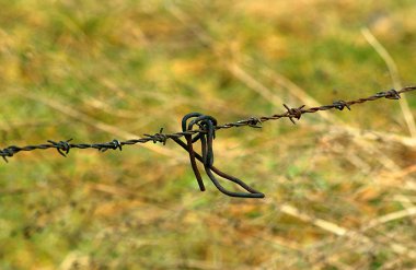 Çok paslı dikenli tel