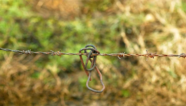 Fil barbelé très rouillé — Photo