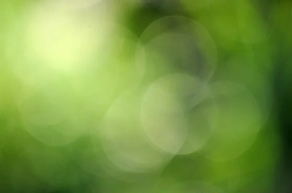 Fondo bokeh verde natural — Foto de Stock