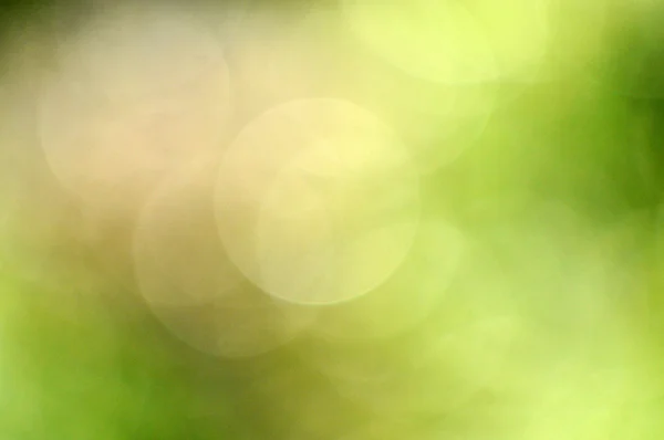 自然の緑のボケの背景 — ストック写真