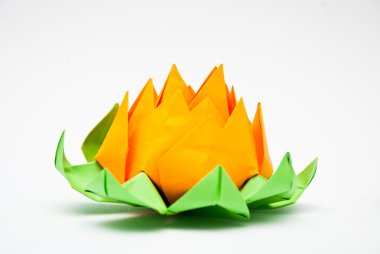 Lotus flower origami 