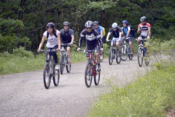PARQUE NACIONAL GALICICA, MACEDONIA - 21 DE JUNIO DE 2015: Tour en Bicicleta "Tour de Galichitsa" fue organizado por el ciclismo-Mountain Bike Club Prespa. La gira se lleva a cabo el segundo año, los participantes tenían el opport — Foto de Stock