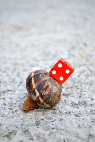 Chance in coming slow — Stock Photo, Image