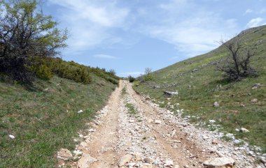 Milli Parkı Galicica, Makedonya 