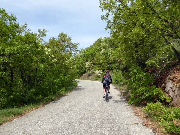 Parque Nacional Galicica, Macedonia — Foto de Stock