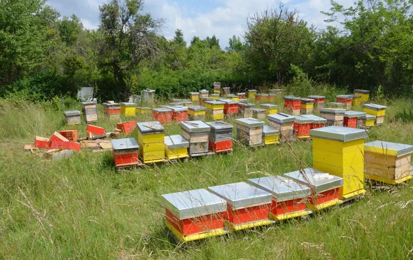 Bee houses