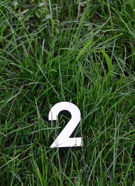 Zahlen auf dem Gras — Stockfoto
