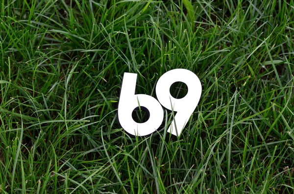 Αριθμό 69 σε φόντο πράσινο γρασίδι — Φωτογραφία Αρχείου