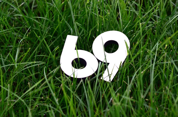Número 69 em um fundo de grama verde — Fotografia de Stock