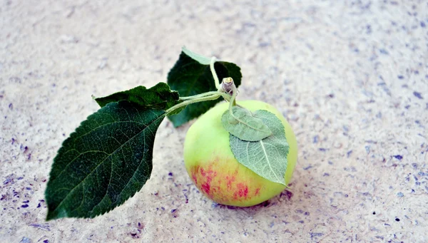 Yaz organik elma — Stok fotoğraf