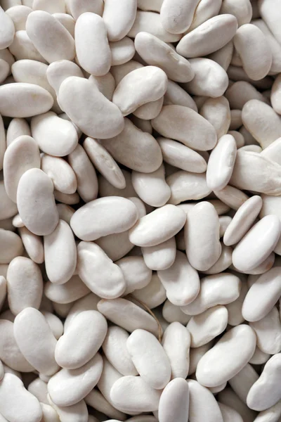 White kidney bean — Stock Photo, Image