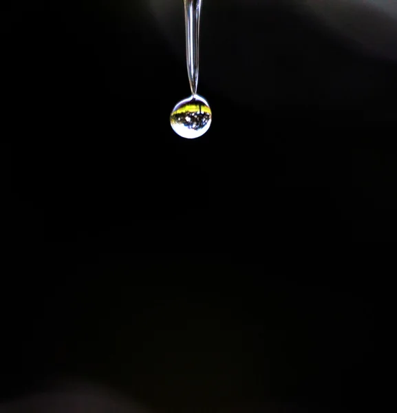 Falling waterdrop in the morning — Stock Photo, Image