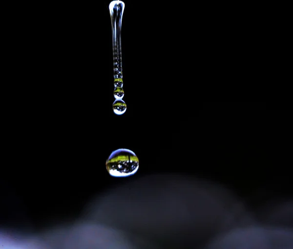 Falling waterdrop in the morning — Stock Photo, Image