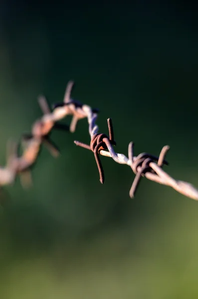 Rezavý ostnatý drát — Stock fotografie