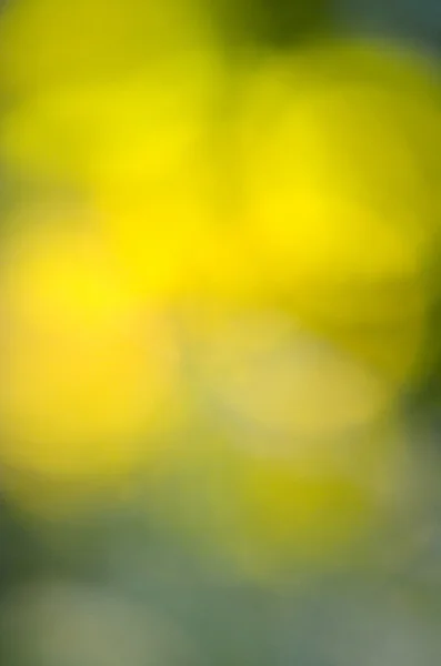 抽象的な春の自然背景緑ボケ — ストック写真