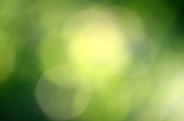 Sfondo verde Bokeh — Foto Stock