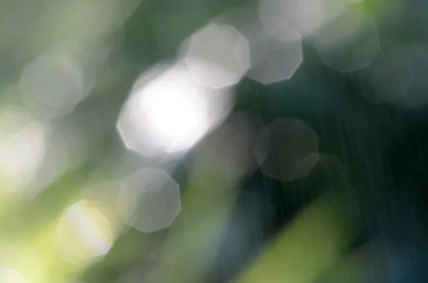 Sfondo verde Bokeh — Foto Stock