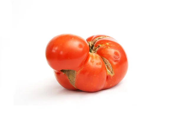 Bio-Tomate — Stockfoto