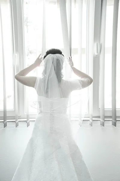 Op zoek naar een bruidegom — Stockfoto