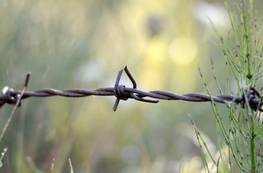 Paslı ve kirli dikenli tel