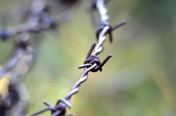 Arame farpado enferrujado e sujo — Fotografia de Stock