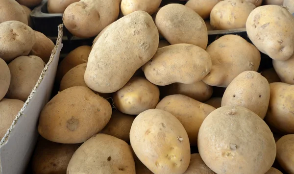 Βιολογικά πατάτας αγρότη αγορά για την πώληση — Φωτογραφία Αρχείου