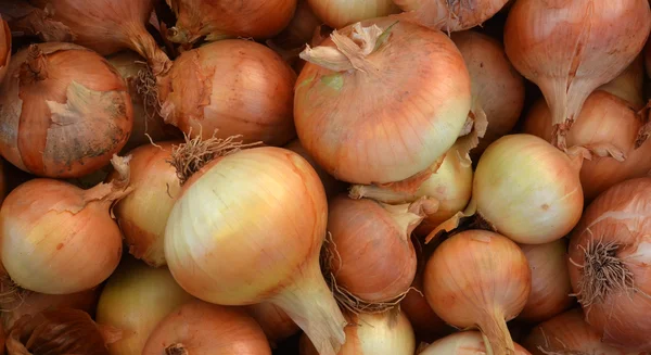 Onion in a market for sale — Stock Photo, Image