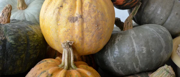 Organiczne dynie na sprzedaż na rynku — Zdjęcie stockowe