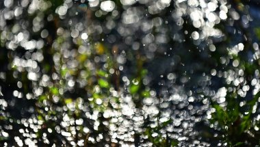 Bahçedeki hortumdan akan su damlaları, arka plan, ekoloji, temiz su teması