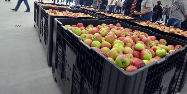 Manzanas en un compartimento de almacenamiento — Foto de Stock